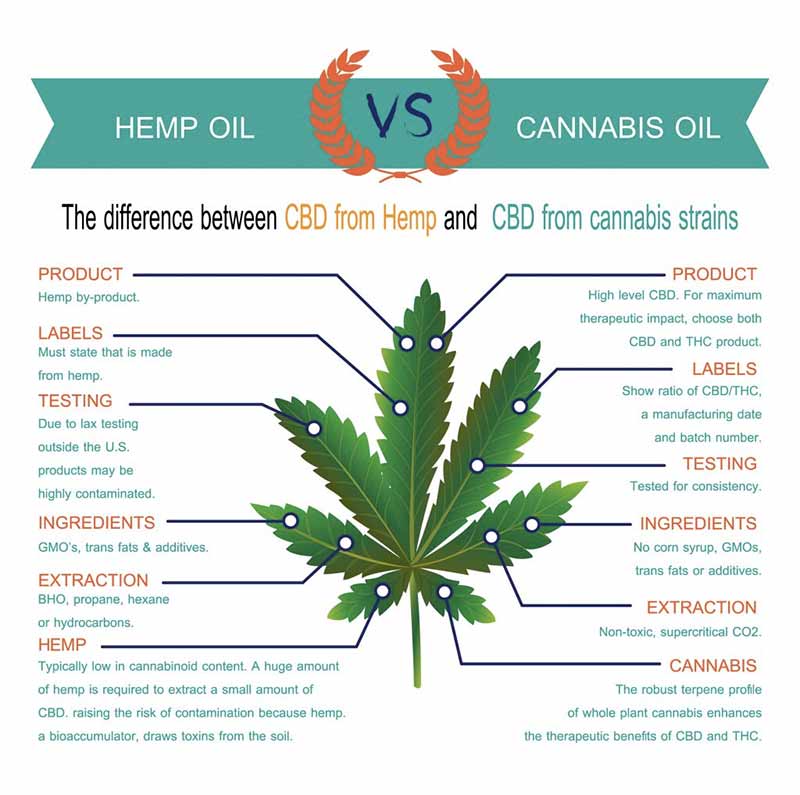 https://wpcdn.getheally.com/patients/wp-content/uploads/2019/10/12230851/Hemp-vs-cannabis-oil.jpg